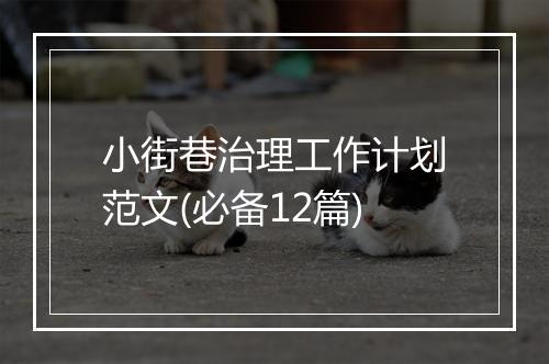 小街巷治理工作计划范文(必备12篇)