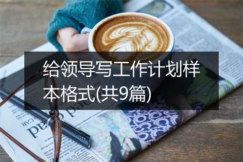 给领导写工作计划样本格式(共9篇)