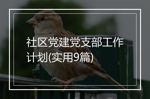 社区党建党支部工作计划(实用9篇)