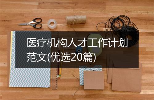 医疗机构人才工作计划范文(优选20篇)