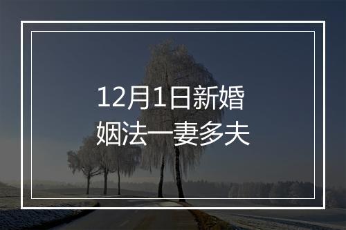 12月1日新婚姻法一妻多夫