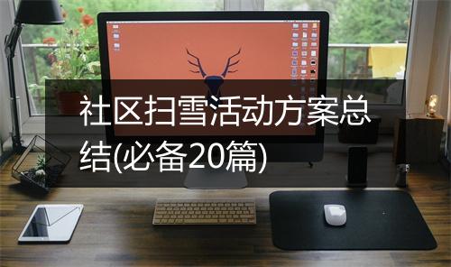社区扫雪活动方案总结(必备20篇)
