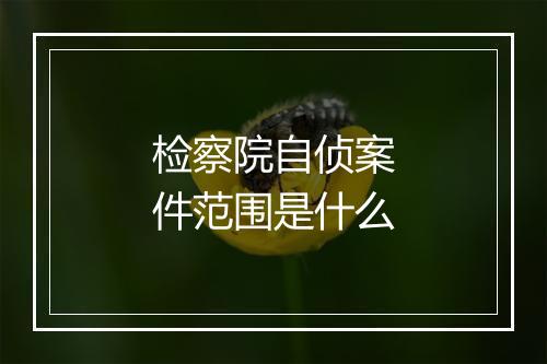 检察院自侦案件范围是什么