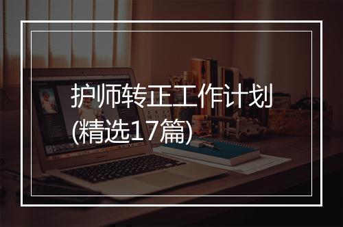 护师转正工作计划(精选17篇)