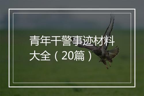 青年干警事迹材料大全(20篇)