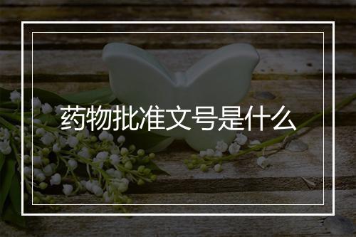 药物批准文号是什么
