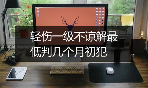 轻伤一级不谅解最低判几个月初犯