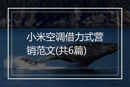 小米空调借力式营销范文(共6篇)
