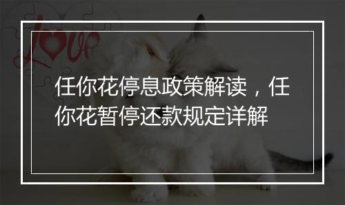 任你花停息政策解读,任你花暂停还款规定详解