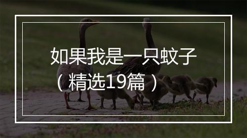 如果我是一只蚊子(精选19篇)