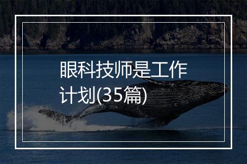 眼科技师是工作计划(35篇)