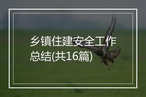 乡镇住建安全工作总结(共16篇)