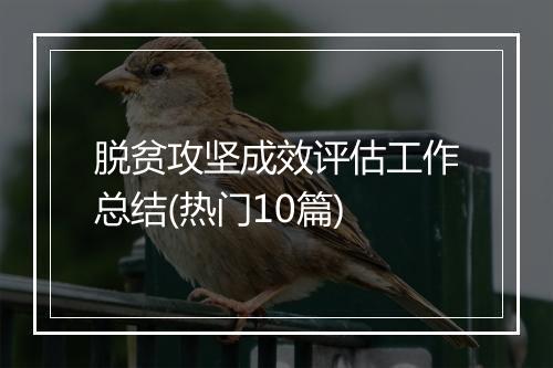 脱贫攻坚成效评估工作总结(热门10篇)