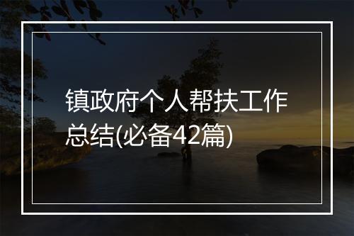 镇政府个人帮扶工作总结(必备42篇)