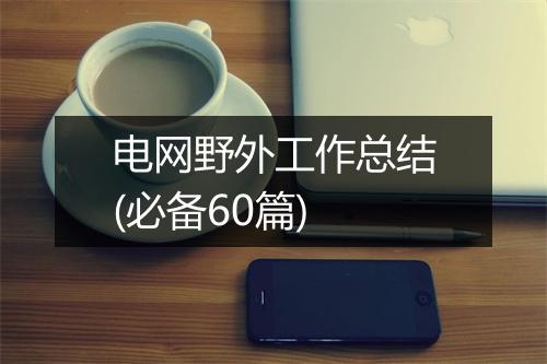 电网野外工作总结(必备60篇)