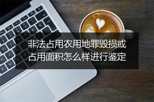 非法占用农用地罪毁损或占用面积怎么样进行鉴定
