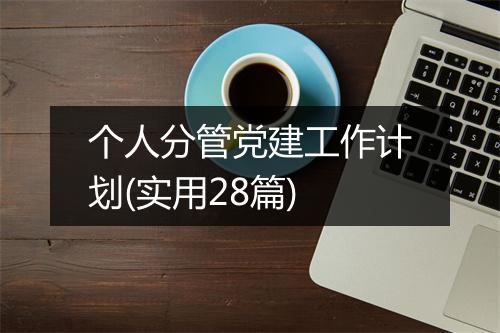 个人分管党建工作计划(实用28篇)