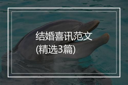 结婚喜讯范文(精选3篇)