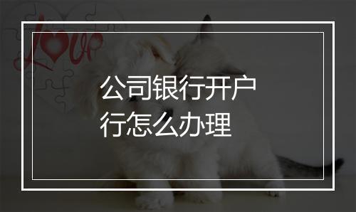 公司银行开户行怎么办理