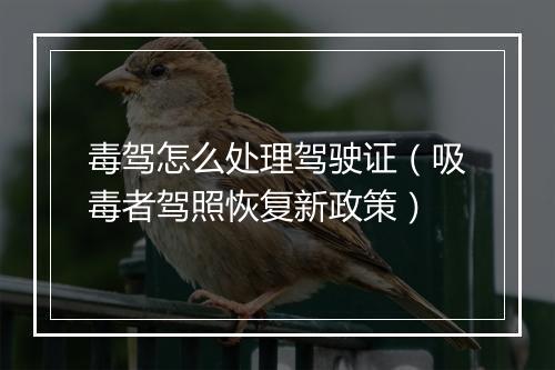 毒驾怎么处理驾驶证(吸毒者驾照恢复新政策)
