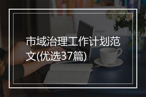 市域治理工作计划范文(优选37篇)