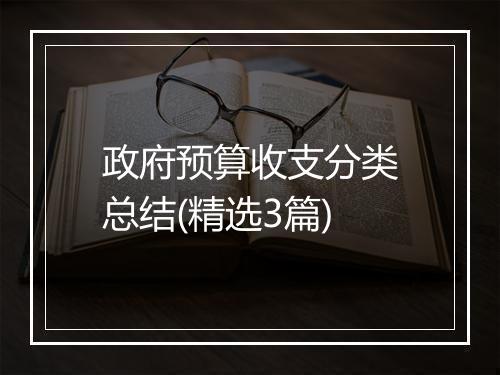 政府预算收支分类总结(精选3篇)