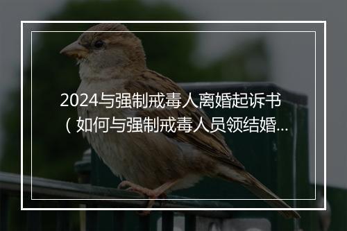 2024与强制戒毒人离婚起诉书(如何与强制戒毒人员领结婚证)
