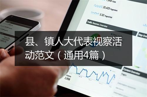 县、镇人大代表视察活动范文(通用4篇)