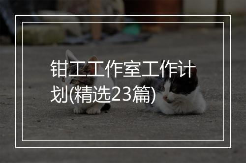 钳工工作室工作计划(精选23篇)