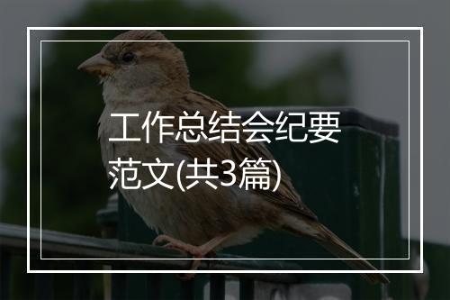 工作总结会纪要范文(共3篇)