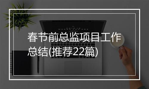 春节前总监项目工作总结(推荐22篇)