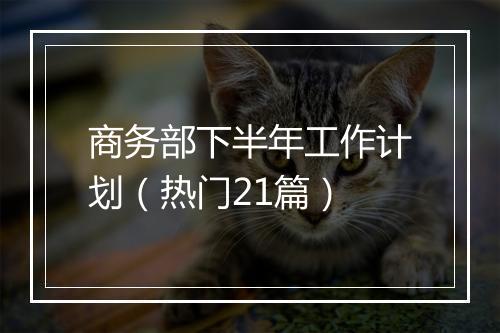商务部下半年工作计划(热门21篇)