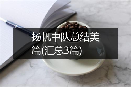 扬帆中队总结美篇(汇总3篇)