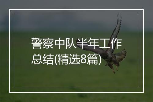 警察中队半年工作总结(精选8篇)