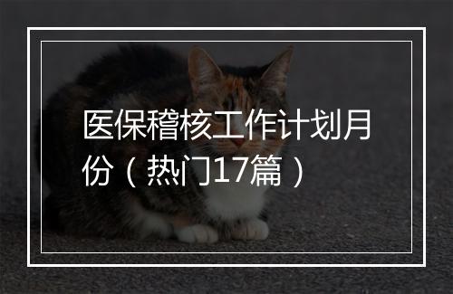 医保稽核工作计划月份(热门17篇)