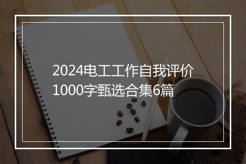 2024电工工作自我评价1000字甄选合集6篇