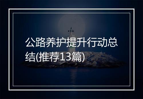 公路养护提升行动总结(推荐13篇)