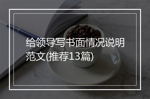 给领导写书面情况说明范文(推荐13篇)