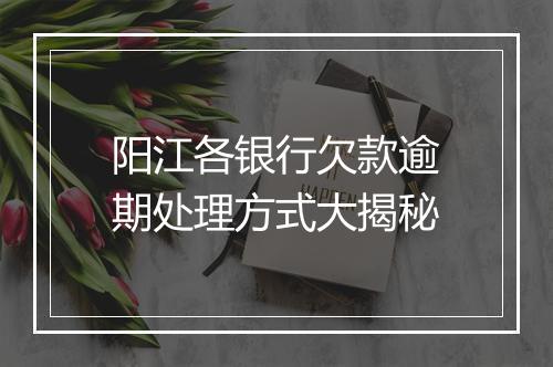 阳江各银行欠款逾期处理方式大揭秘