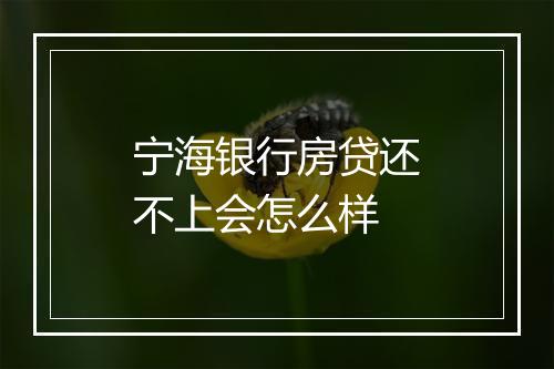 宁海银行房贷还不上会怎么样
