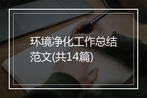 环境净化工作总结范文(共14篇)