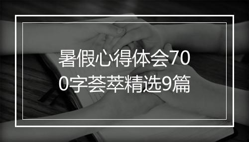 暑假心得体会700字荟萃精选9篇