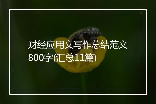 财经应用文写作总结范文800字(汇总11篇)