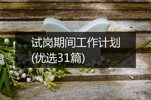 试岗期间工作计划(优选31篇)