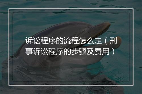 诉讼程序的流程怎么走(刑事诉讼程序的步骤及费用)