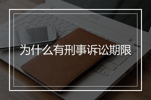 为什么有刑事诉讼期限