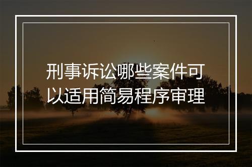 刑事诉讼哪些案件可以适用简易程序审理