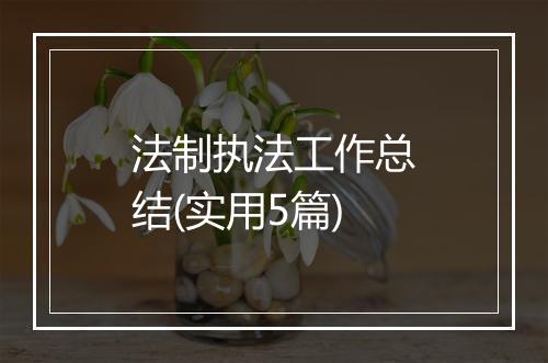 法制执法工作总结(实用5篇)