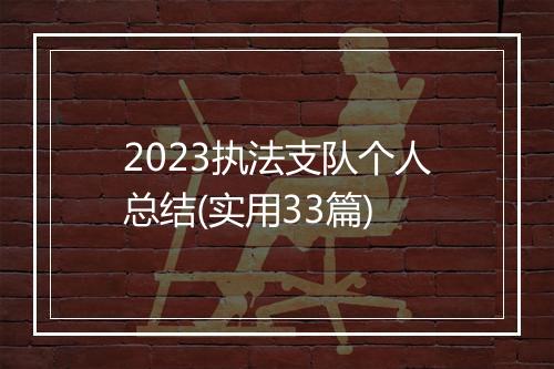2023执法支队个人总结(实用33篇)
