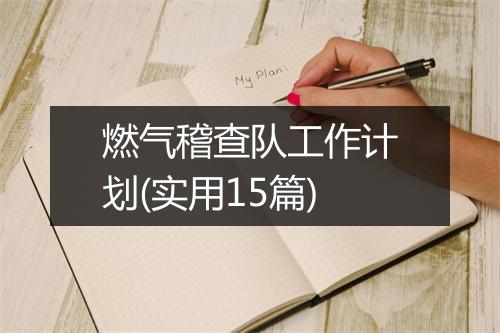 燃气稽查队工作计划(实用15篇)